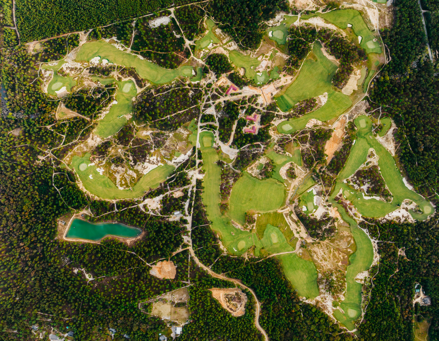 The Tree Farm - Limited Metal Panorama Print