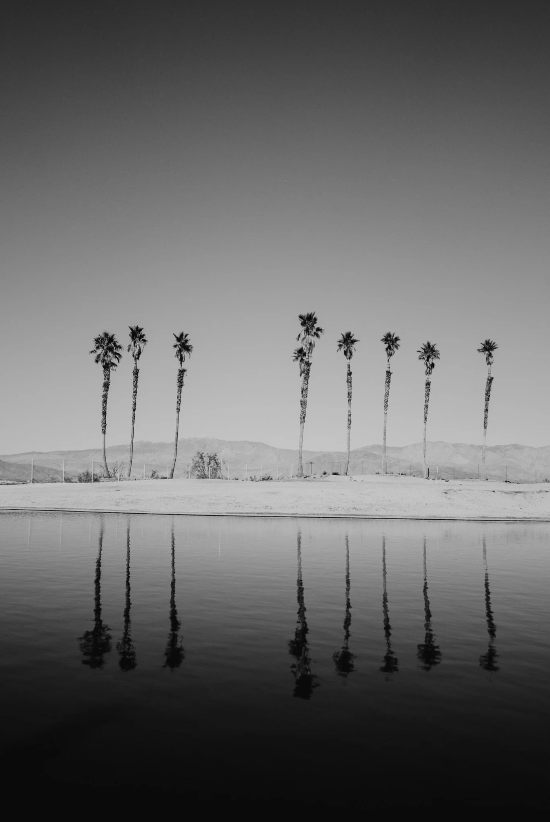 LEICA 📸 Preset Pack