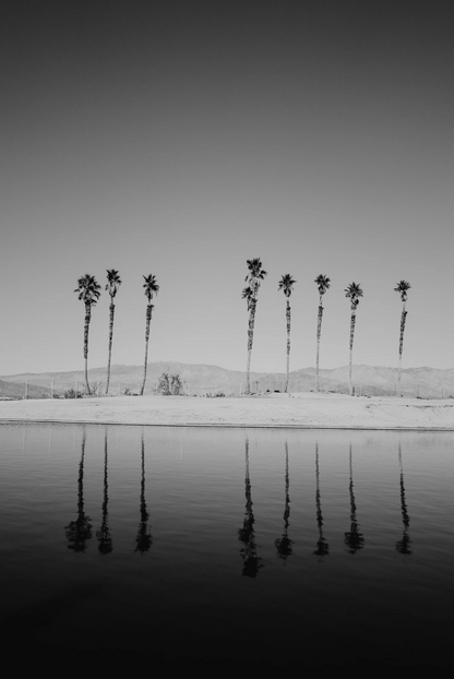 LEICA 📸 Preset Pack